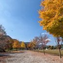 천제당입구 이미지