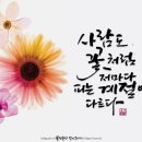 힐링의 캘리그라피 이미지