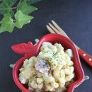 키친 마카로니 이미지