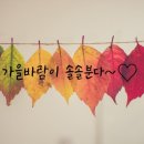 디지털 사진 편집 이미지