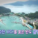 금일에스앤에프㈜ 이미지