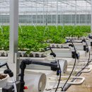 농심농장 이미지