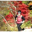 140차 안산 만남산악회 정기산행 2008년11월4일 (백암산(白巖山)741.2m) 이미지