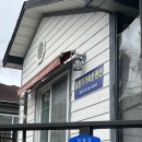 펫119 | 반려동물친화관광도시 태안 애견동반여행! (펫니스태안 미션투어)