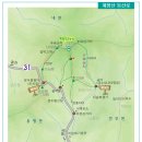 모래소유원지 Daum카페