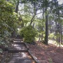 미카형 증기기관차 304호 이미지