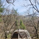 나만의계곡 | [공지] 국립 유명산 자연휴양림 캠핑장 제2캠핑장 205사이트 계곡 물소리 힐링 봄캠핑 후기