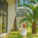 제주독채펜션 라리저브 감성펜션 이미지