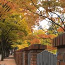 노변초등학교 이미지