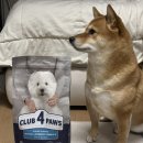 강아지클럽 | 강아지 가수분해 저알러지사료 급여후기, 클럽4포우즈 양고기&amp;라이스