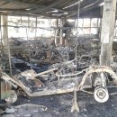 그린벨리 이미지