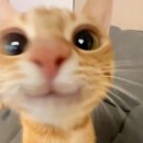 경기도 수원시 팔달구 세지로234번길 이미지