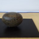 앙바엑스포 전시관 이미지