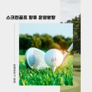나이스스크린