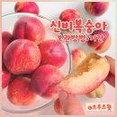 프루츠인 | 여름 제철 과일 신비복숭아 보관기간·보관방법｜프루츠윗 택배주문 후기
