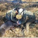 국립공원공단 국립공원야생생물보전원 북부보전센터 이미지