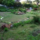 들꽃풍경 이미지