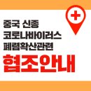 성모안과 이미지