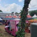 괴산고추축제 | 🌶2025 괴산고추축제 다녀온 후기! “Hotter &amp; Cooler” 매운맛 가득한 현장