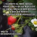 성도 농장 이미지