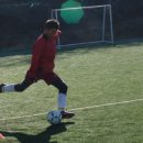 월성초등학교 이미지