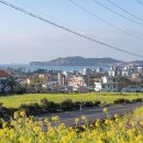 인강한의원 | 날도 풀렸으니 슬슬 임장갈 준비해야죠(ft. 프랑스어 공부, 근황)