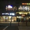 살롱블롱디캣츠 네이버블로그