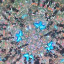 숲속실로암영재어린이집 이미지