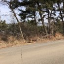 아름다운글램핑장 이미지