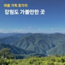 북평면남창5일시장 | 강원도 여름 휴가지 가족여행 삼척 장호항 스노쿨링 환선굴 횡성 루지