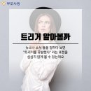 [부모사랑 지식] 트리거 뜻 포인트 요소 어떤 의미로 쓰이는지 부모사랑상조와 알아볼까 이미지