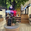 통툰만화카페강릉점 | 강릉 만화카페 통툰 실내데이트 놀거리 만족후기