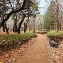 가오근린공원 이미지