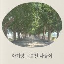 나무나루 | 아기랑 가기 좋은 아산 카페 나들이, 곡교천 은행나무길 산책 여해나루 수유실 후기