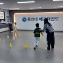 용인대 정도태권도장 이미지