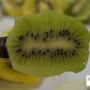은혜농장 | 은혜농장 참다래(키위) 구매후기&#39;