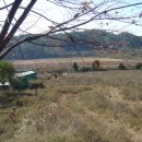 춘천농장 이미지