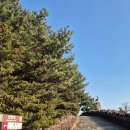 263 | 국가지정 천연기념물 제263호 산굼부리 탐방 후기