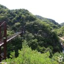 장성삼거리입구 공원 이미지