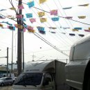 대진화학 이미지