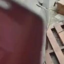 삼정양행