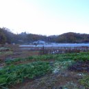 궁동네거리 이미지