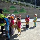 대청유치원 이미지