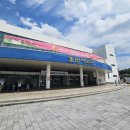 춘천호반체육관 | 제 2회 춘천 복숭아페스티벌 : 복숭아 구매실패로 아쉬운 방문후기