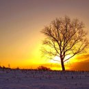 일출목장 이미지