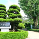 원광대학교자연식물원 이미지