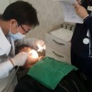 치과 치료 이미지