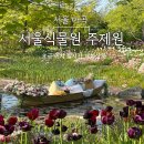 서울식물원주제원 한국판 모네의 정원 튤립 후기 이용시간 요금