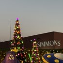 서초중앙로22길 17 | [곰신일기 #8] 공군 네 번째 휴가 기록: 여의도, 화담숲 그리고 이천에서 마지막 가을 즐기기