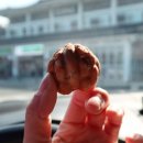 건천(부산)주유소 이미지